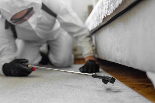 Professional Bed Bug Control technician working in Newton, IL