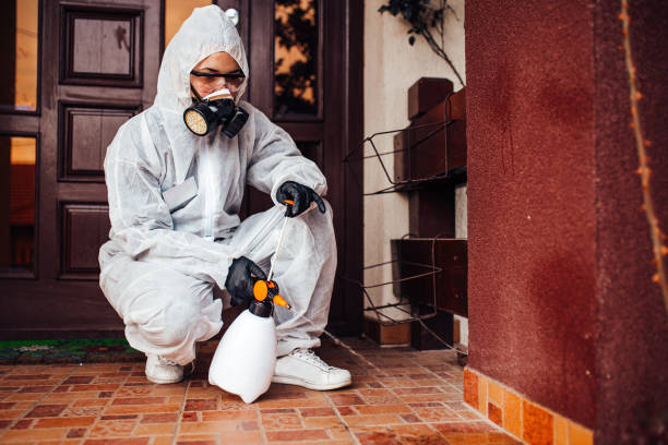 Reliable Bed Bug Control contractor in Newton, IL by Nex Pest Control